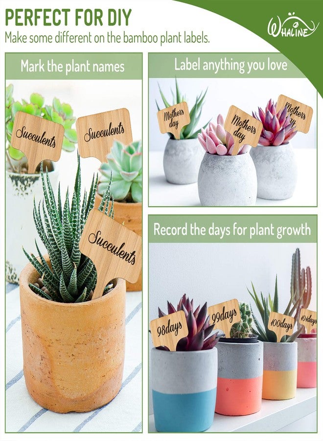 وولاين مجموعة من 30 قطعة من ملصقات نباتات الخيزران من والين مع قلم تحديد، علامات نباتات خشبية على شكل حرف T، علامات حدائق للبذور والأعشاب والزهور والخضراوات المزروعة في أصص (6 × 10 سم) - Image 5